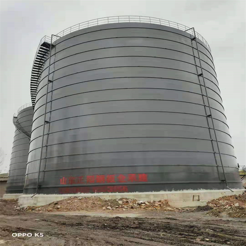 虎林3万吨大型钢板库