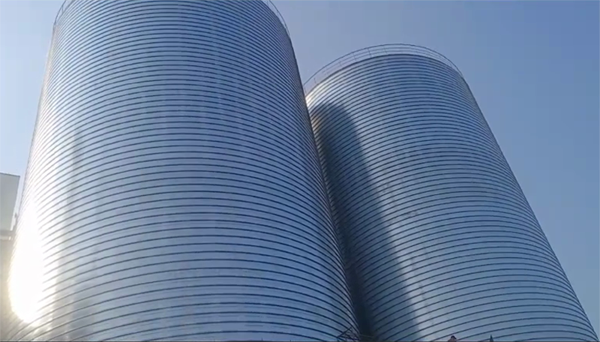 虎林2座混凝土高架卷板仓